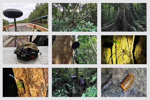 multiple pictures