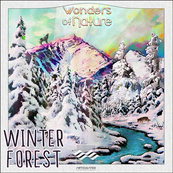 Very Cold Ambience Sound Library Unveiled: Winter Forest!
