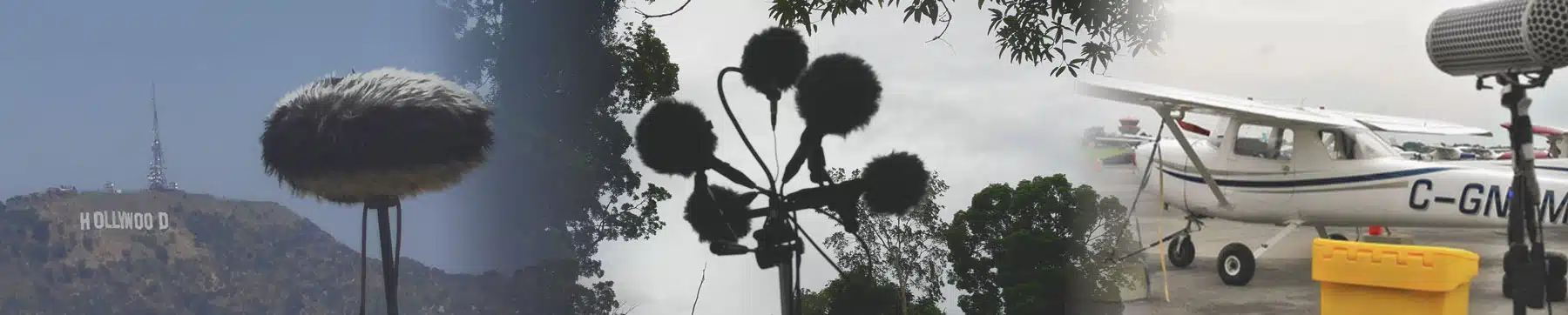 Recording in the field