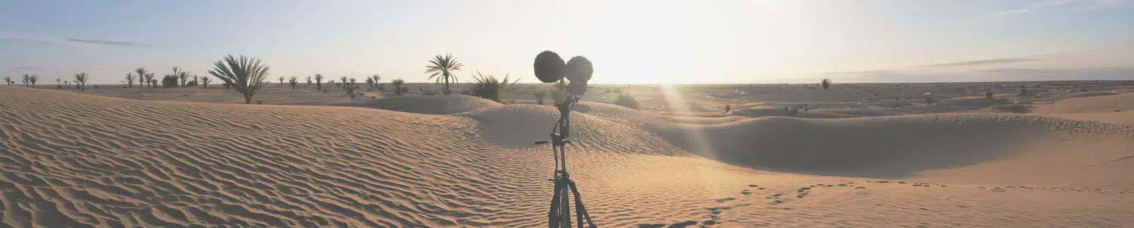 Desert field recording